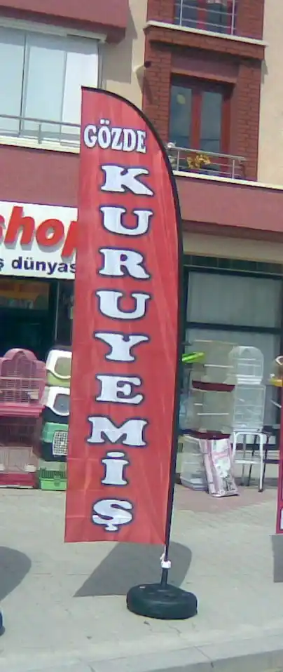 Kuruyemiçi Yelken Bayrağı-16