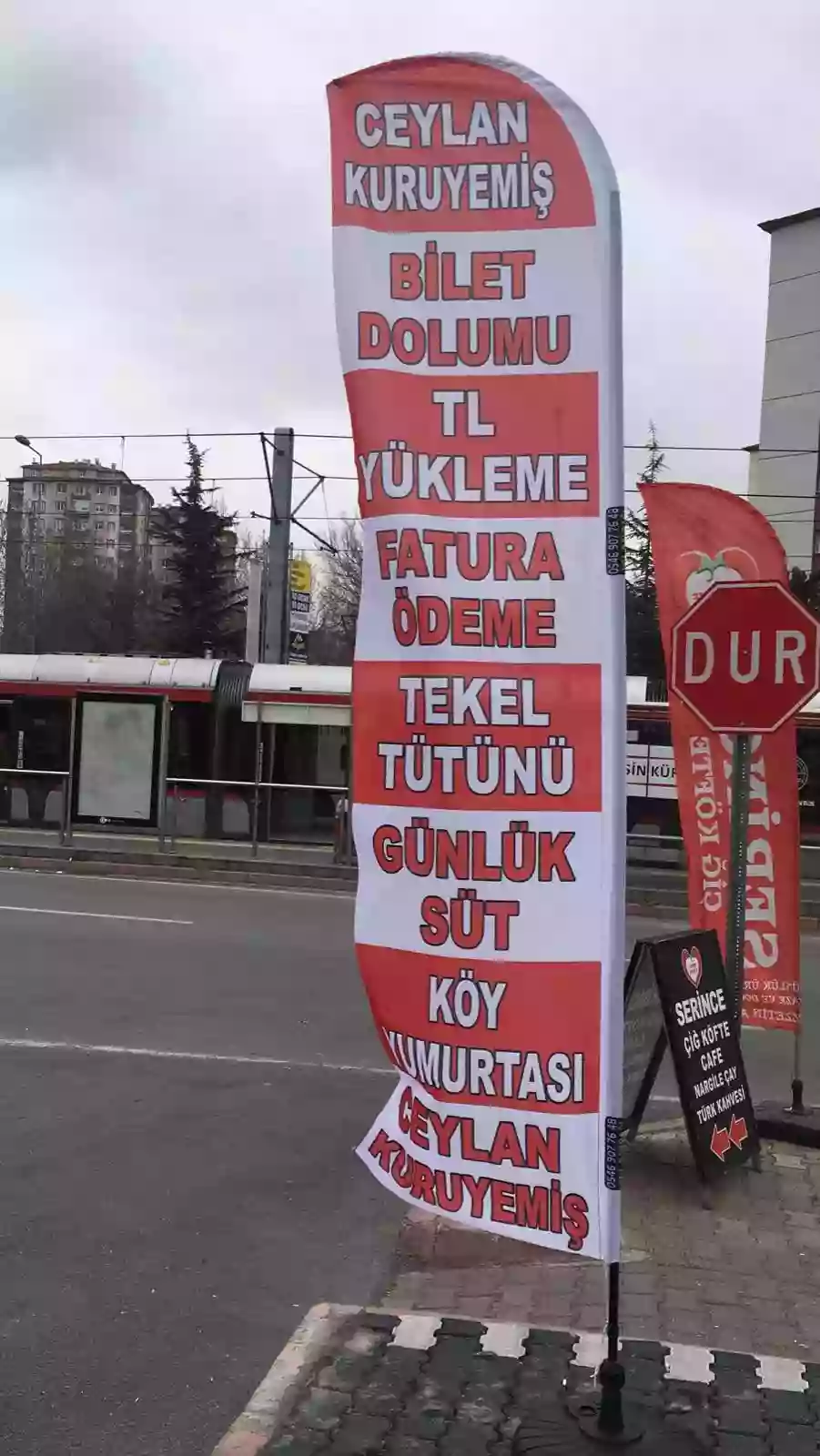 Kuruyemiçi Yelken Bayrağı-20